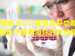 干细胞 🐘 能提高肝功能吗（干细胞能不能增加你的身体健康）